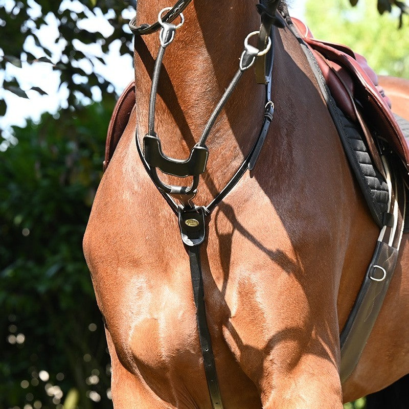 Martingale élastique à anneaux